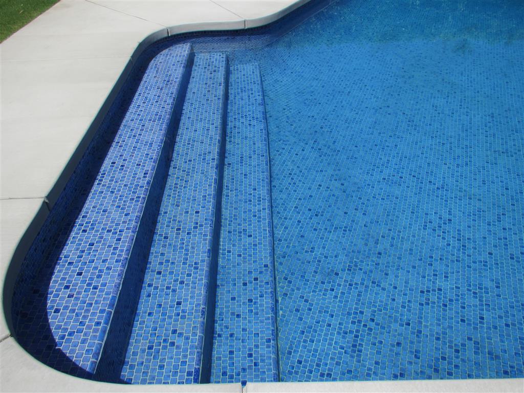 SL920 Pool Steps